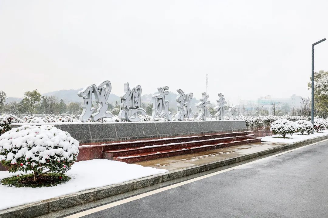 瑞雪兆豐年，邀您共賞雪中山河！